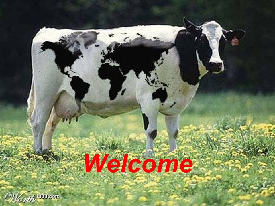 Welcome.jpg