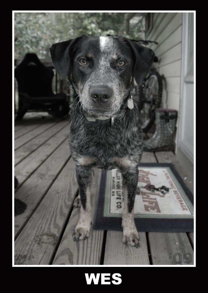 Wes5X7_650194b151c03be824d482f91f871f267155cbbe.jpg