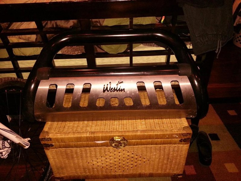 Westin Bull Bar.jpg