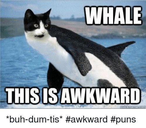 whale-this-is-awkward-buh-dum-tis-awkward-puns-6782520.jpg