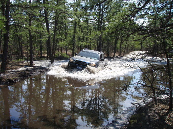 wharton forrest 026.jpg