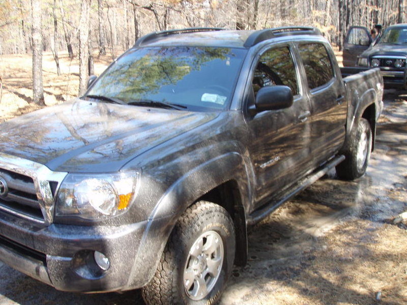 wharton forrest 032.jpg