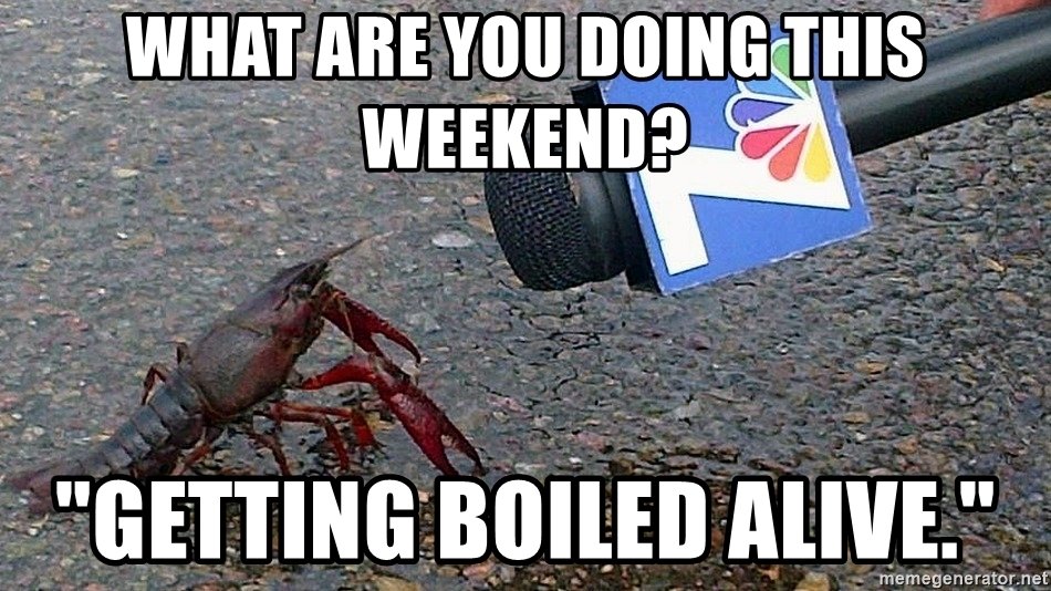 what-are-you-doing-this-weekend-getting-boiled-alive.jpg