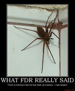 what-fdr-really-said-jan-4-spiders-fdr-demotivational-poster-1262578005.jpg