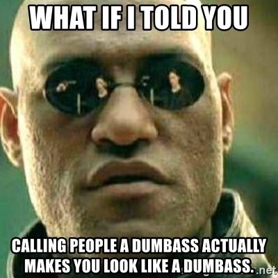 what-if-i-told-you-calling-people-a-dumbass-actually-makes-you-look-like-a-dumbass.jpg