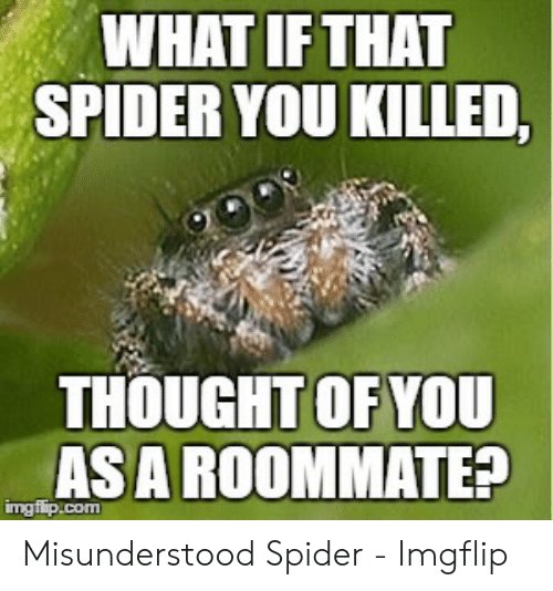 what-ifthat-spider-you-killed-thought-ofyou-asa-roommate-mgfip-com-53697920.jpg