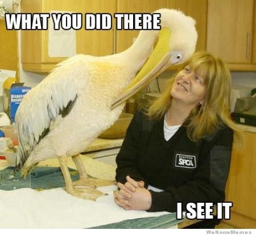 what-you-did-there-i-see-it_33770b97f1f514c9c7915cd8d5243c7c67712771.jpg