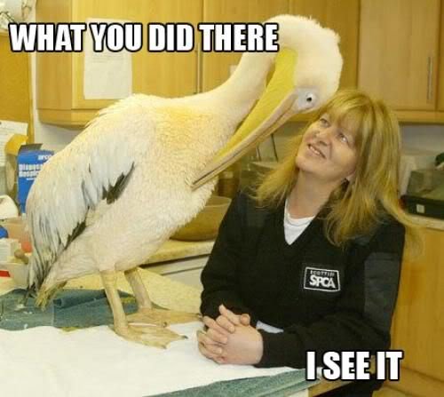 what-you-did-there-i-see-it_thumbnail_b8f7a437d07e6179c76be186c67ff4006c00a855.jpg