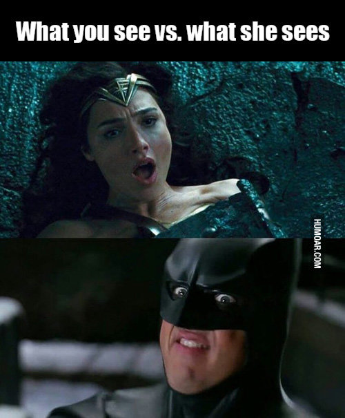 what-you-see-vs-what-she-sees-wonder-woman-batman.jpg
