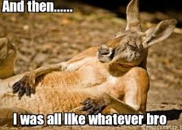 whatever.jpg