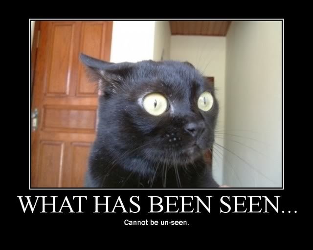 WhatHasBeenSeenCannotBeUn-Seen_c6f050fc5c0e39633a83bda7a9b37e031d66cf89.jpg