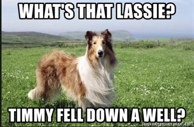 whats-that-lassie-timmy-fell-down-a-well.jpg