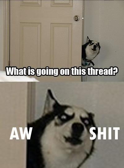 whats_going_on_in_this_thread_aw_sh_6cf899f3708cb6379b047afbbb452f9c3e5a337c.jpg
