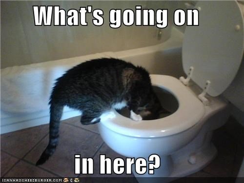 whatsgoingon.jpg