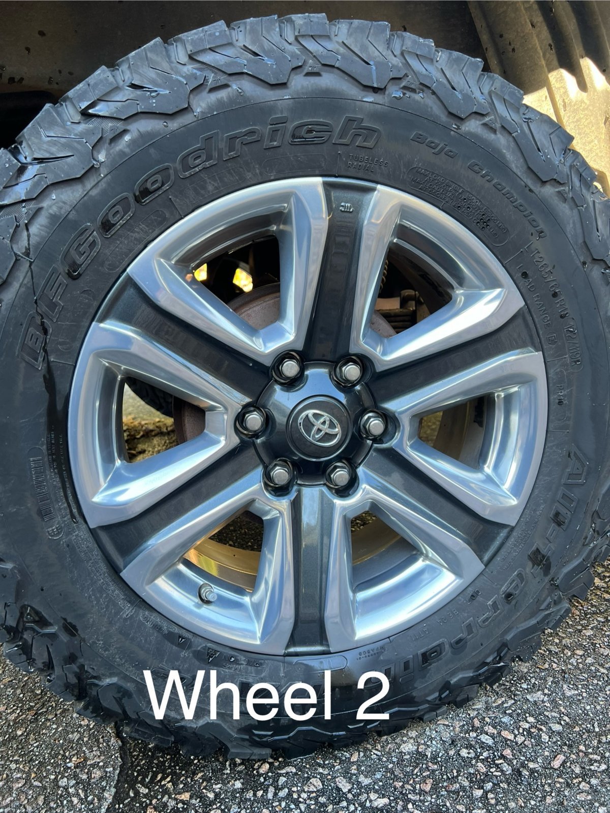 Wheel 2.jpg