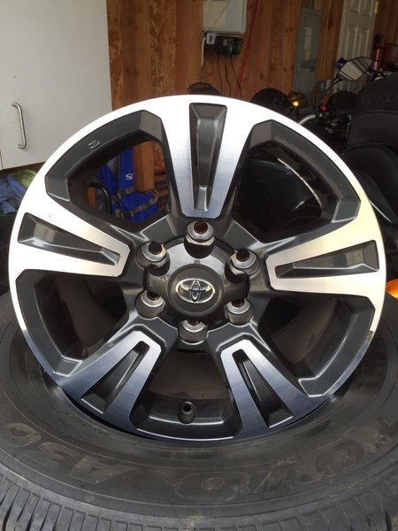 wheel.jpg