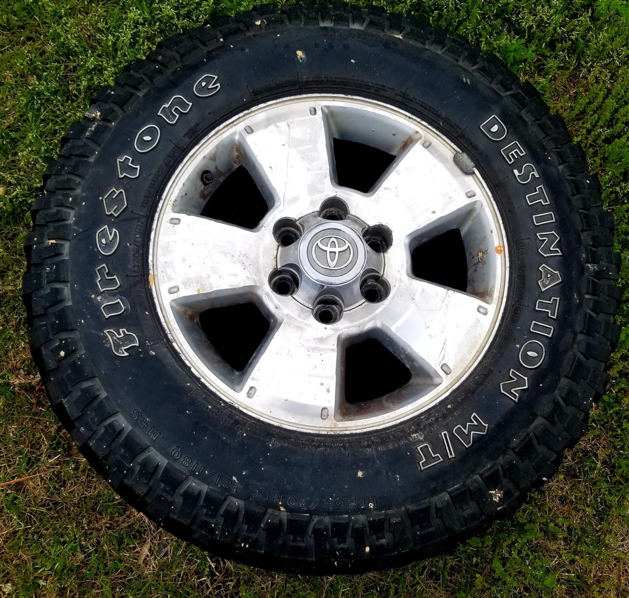 Wheel.jpg