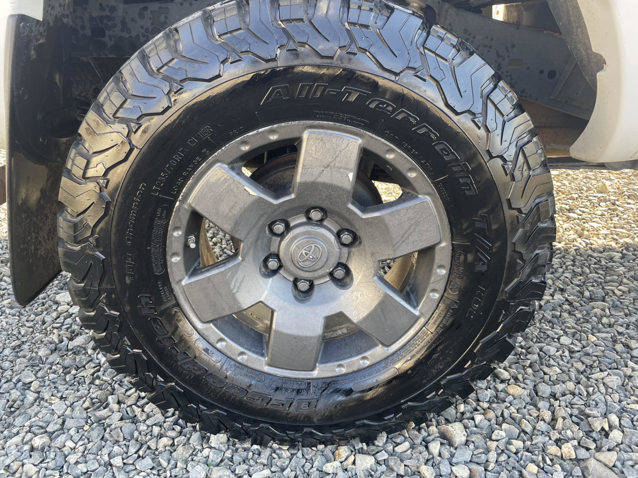 Wheel.jpg