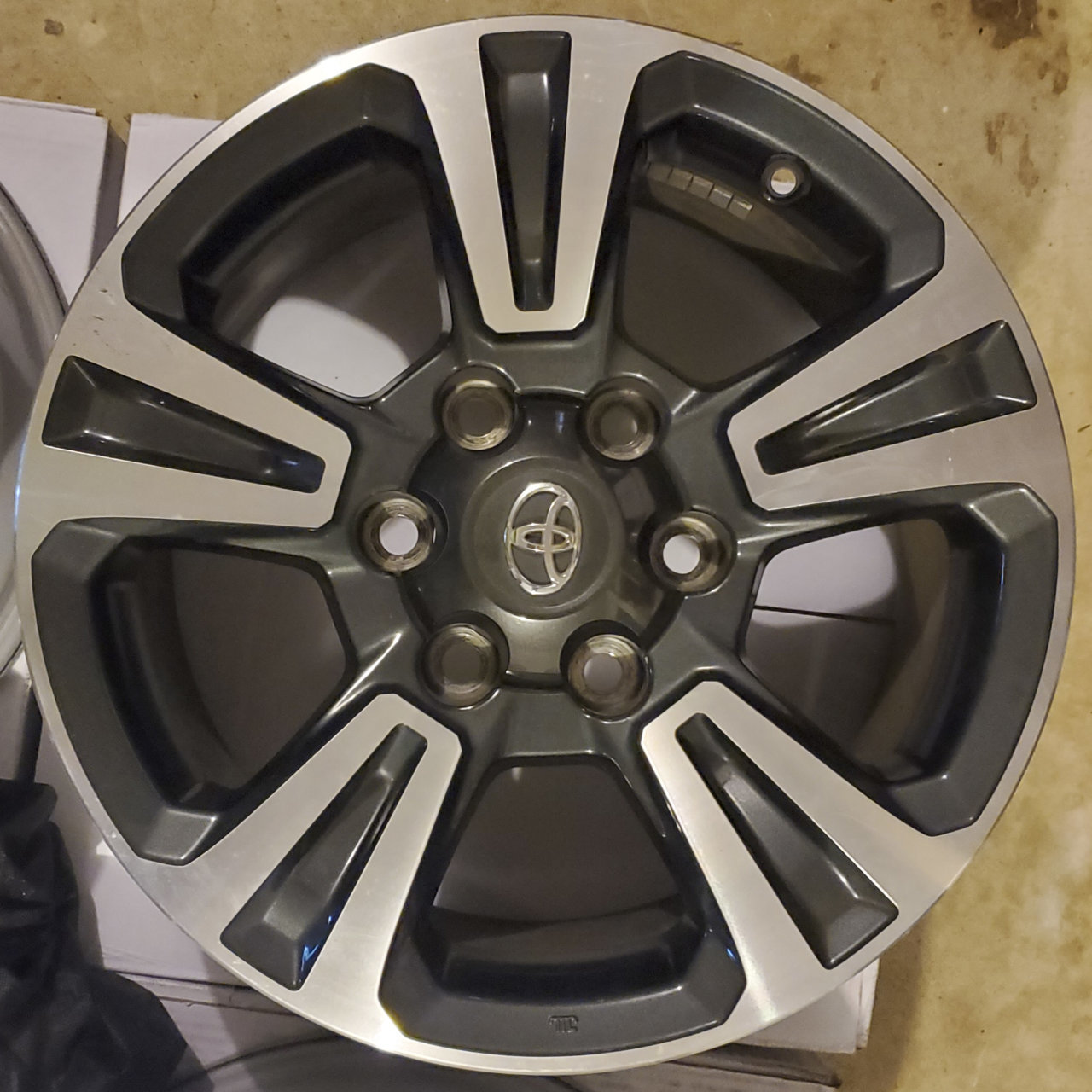 Wheel1.jpg
