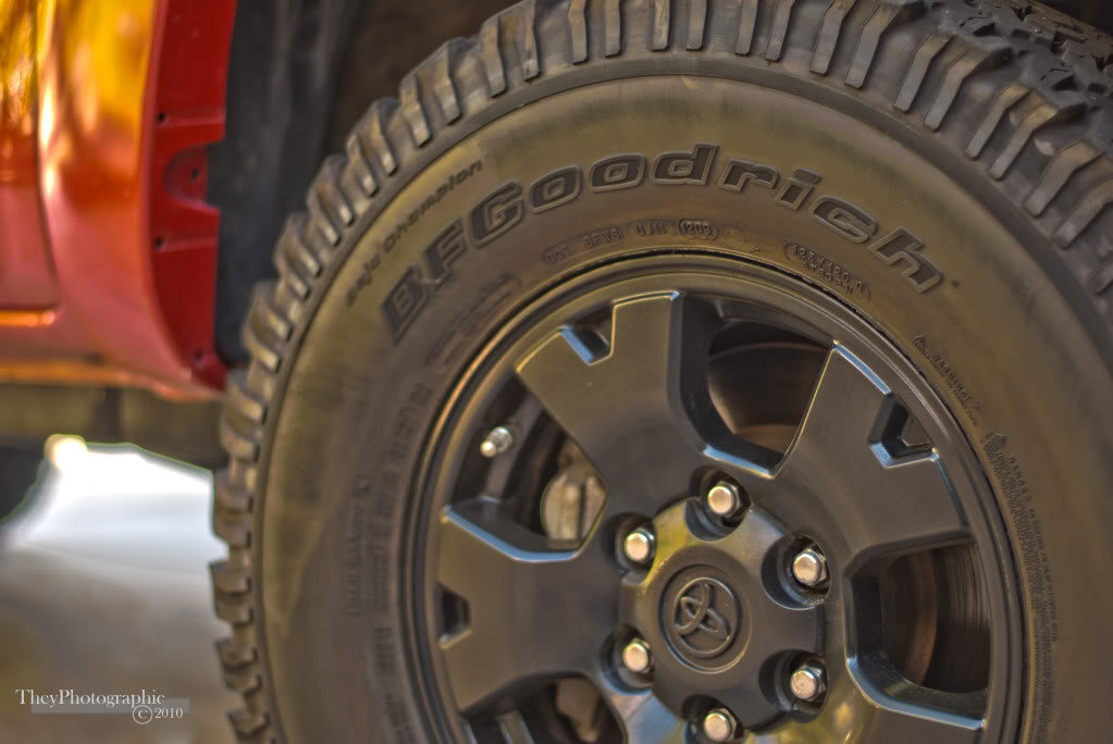 Wheel_19b995555735a9ced20697e18572c6eccd2a0cc6.jpg