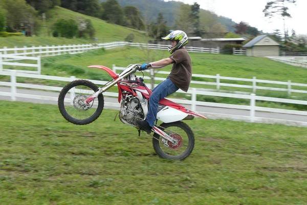 Wheelie_8a870b32f483ba91276197ea9ab9ba1f5b38d432.jpg
