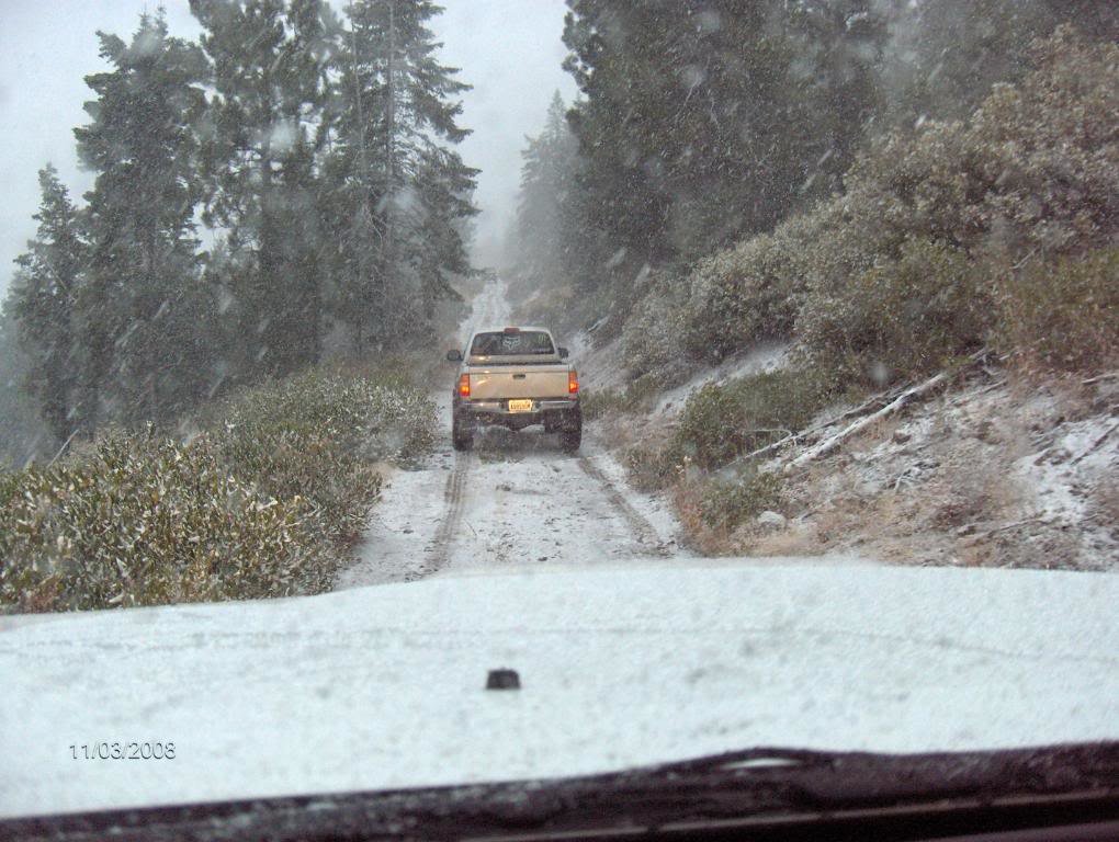 Wheelin002_334e5171a63fc7580ed7836b06eb45907aa824f4.jpg
