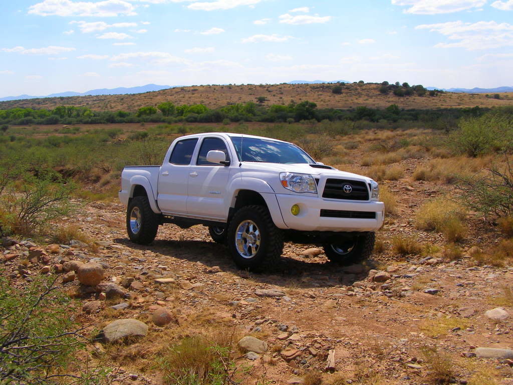 wheelin035_3a2e57b46bb07f9d9894f9cd21cb35deb7eb19da.jpg