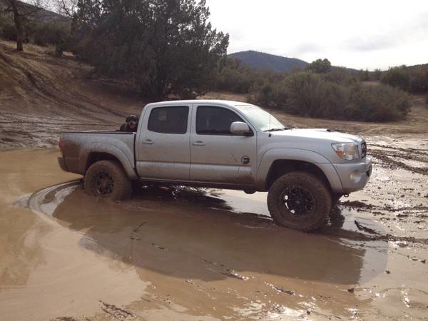 wheelin1.jpg