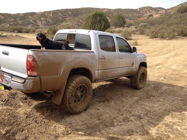 wheelin2.jpg