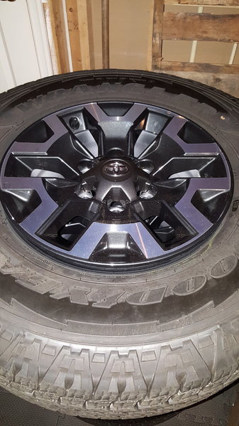 wheels 1.jpg