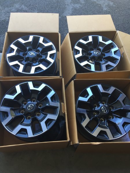 wheels 1.jpg