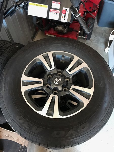wheels 2.jpg