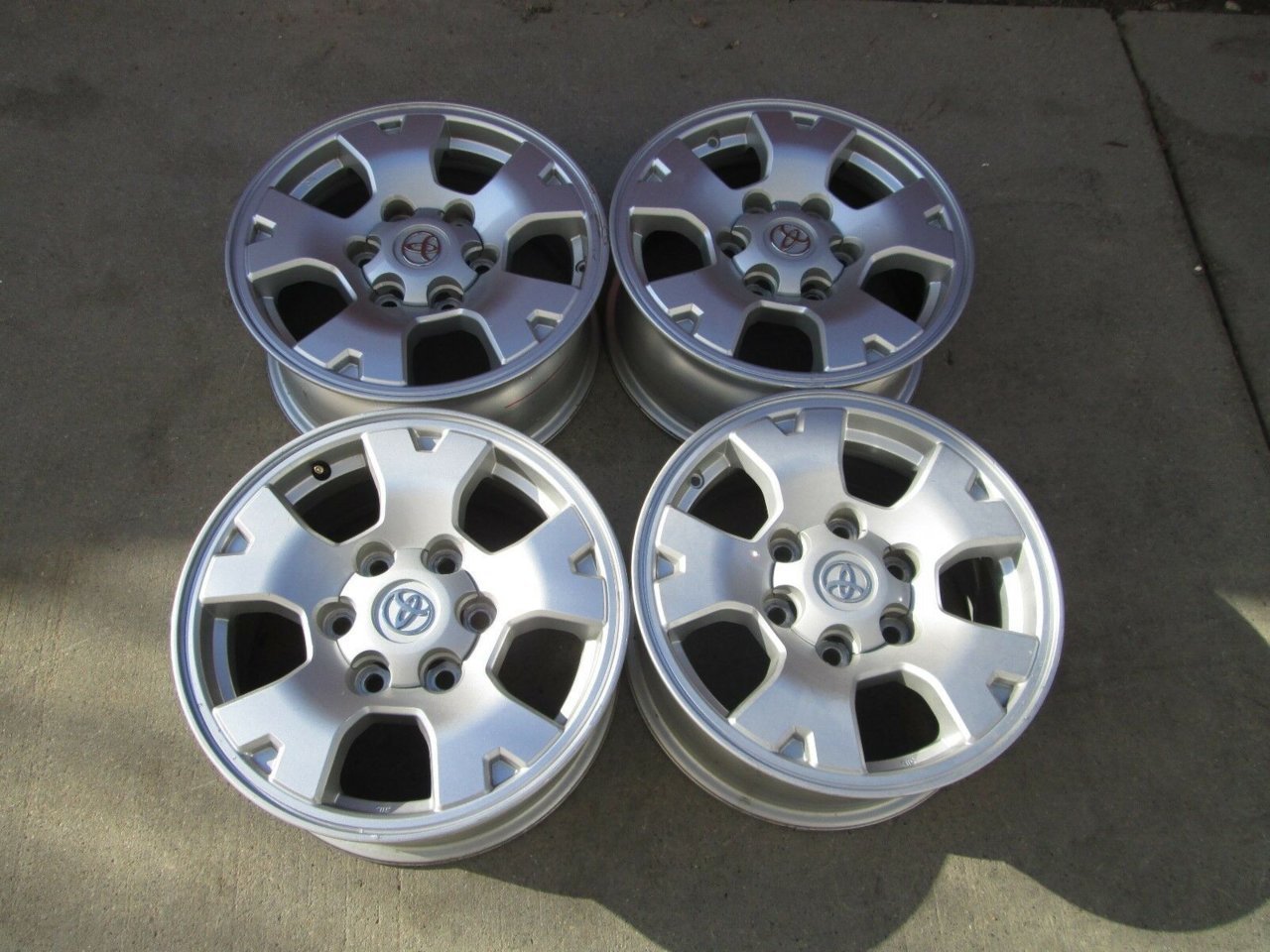 wheels to go-1.jpg