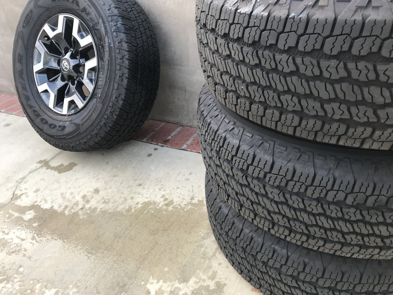 wheels2.jpg