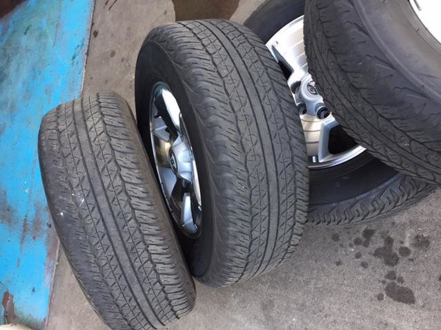 wheels2.jpg
