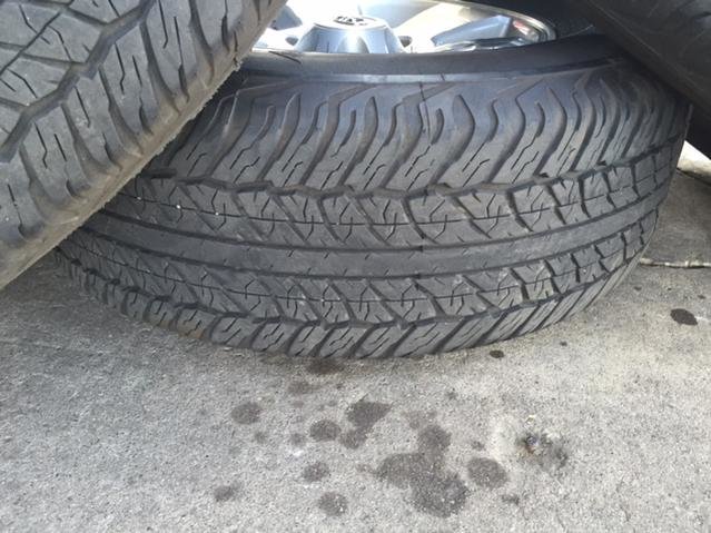 wheels3.jpg