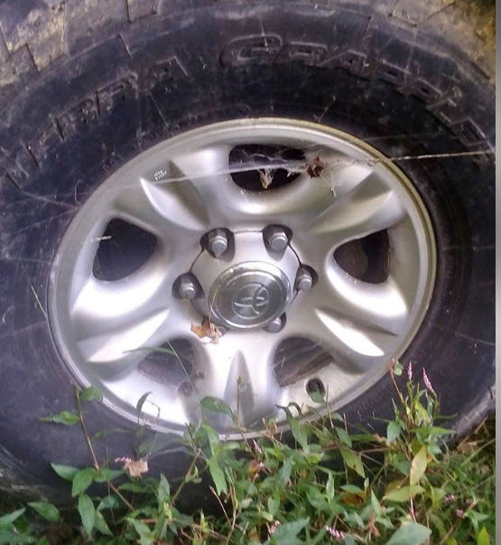 wheels4r.jpg