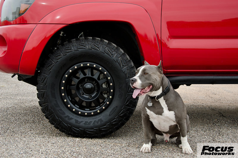 Wheels_3.jpg