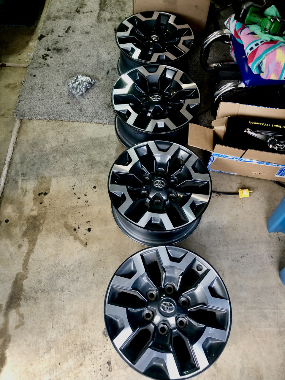 wheelz.jpg