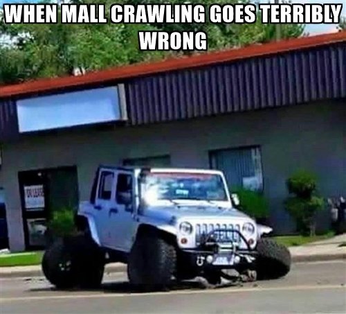 when-mall-crawling-goes-terribly-wrong.jpg