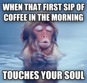 When-that-first-sip-of-coffee-in-the-morning-Good-Morning-Memes.jpg