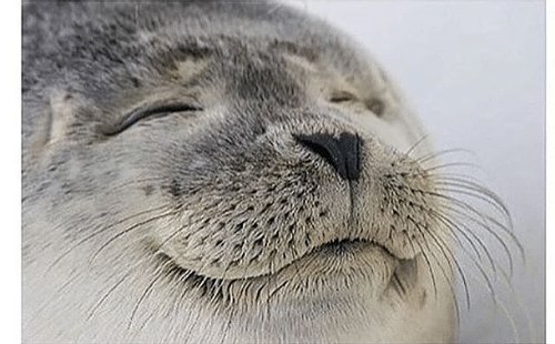 when-your-butthole-really-itches-and-you-fart-hard-enough-4803242.jpg