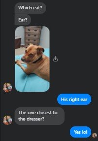 which ear.jpg