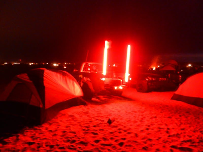 Whips2_330687582e9029e311422c40d6b43b6b18e9d5fc.jpg