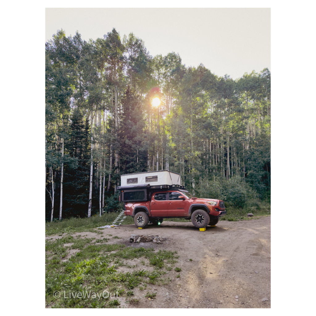 Whitagram-Image 4.jpg