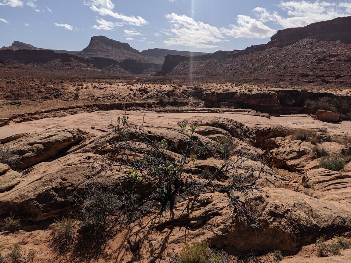 white canyon 4.jpg