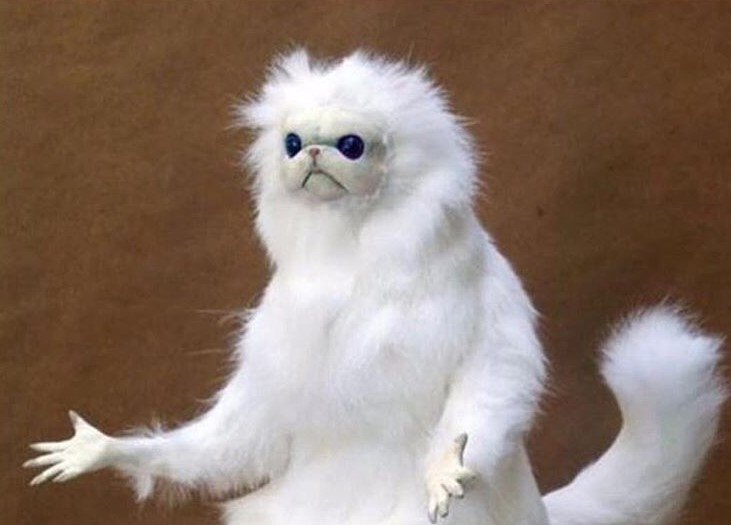 White-Monkey-Meme.jpg