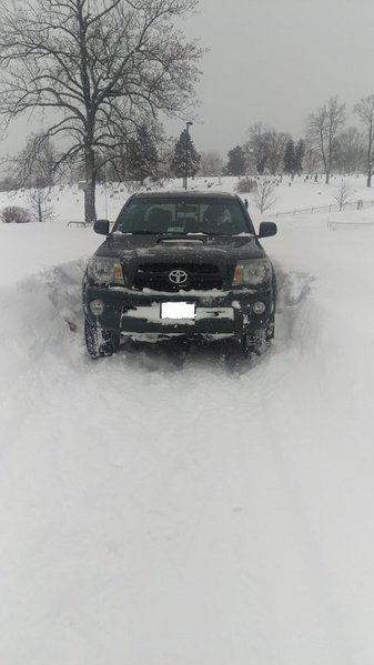 White Out Jonas.jpg