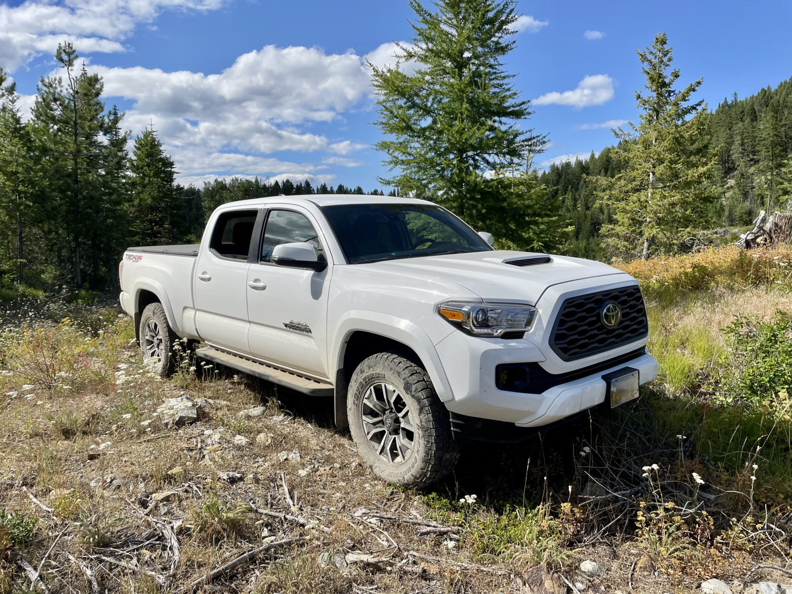 White Taco.jpg