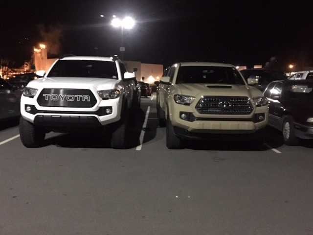 white vs tan taco.jpg